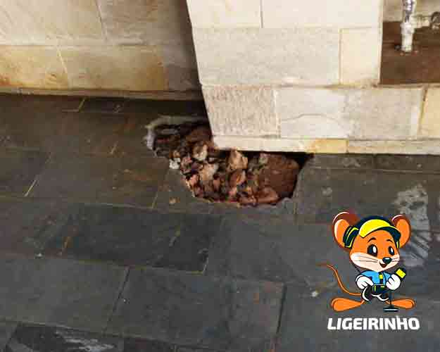 Conserto de vazamento na parede, solo, teto, laje e coluna Centro SP