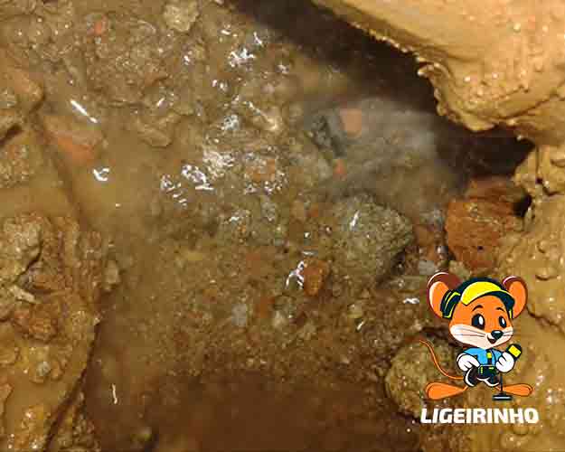 Detecção de vazamento de agua especializado Centro SP Centro SP