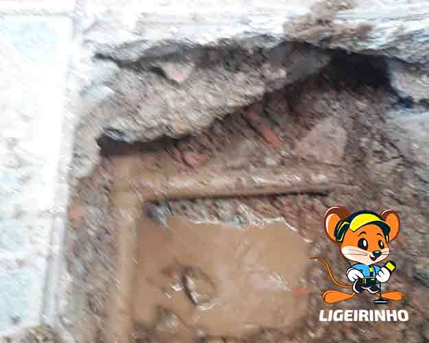 Serviço profissional de manutenção de vazamento com preço baixo