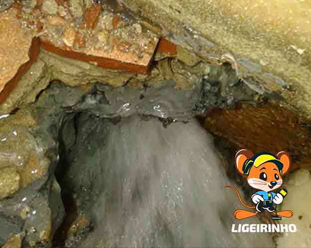 Serviço técnico de manutenção de vazamento Centro SP Centro SP