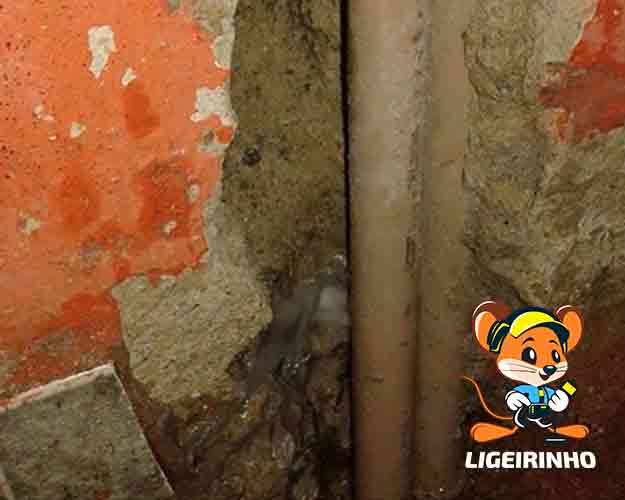 Vazamento de agua detectado com laudo técnico LG