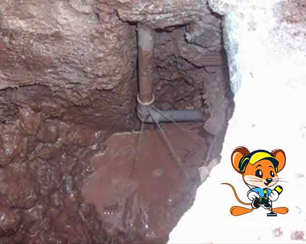 Conserto de vazamento técnico Ligeirinho