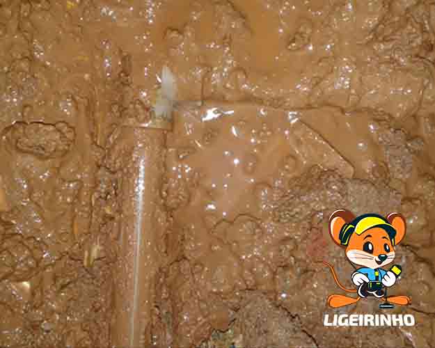 Encanador caça vazamentos perto de mim com preço baixo